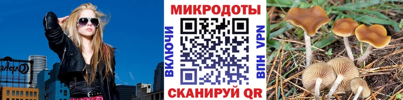 Галлюциногенные грибы Psilocybe  Петров Вал 
